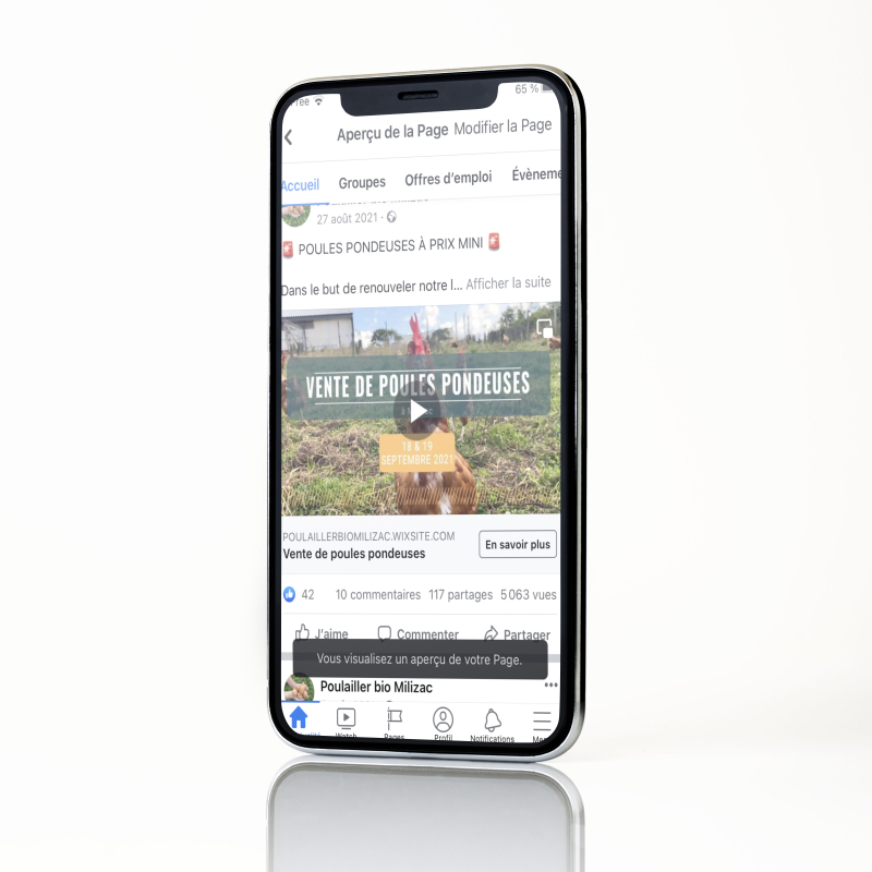 actu-réalisation-page-facebook-poulailler